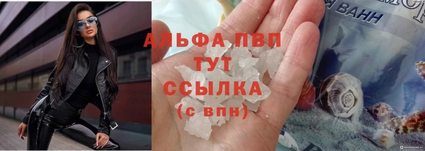 СК Беломорск