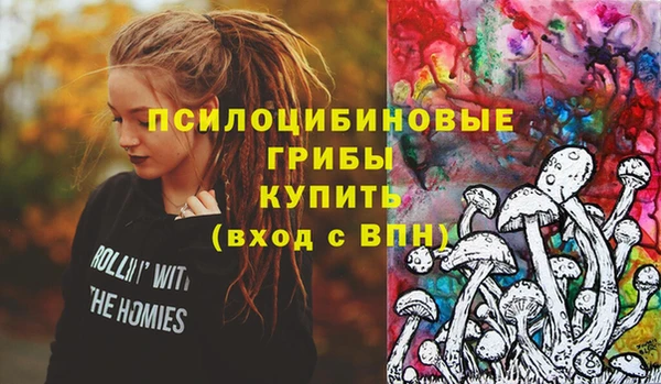 СК Беломорск