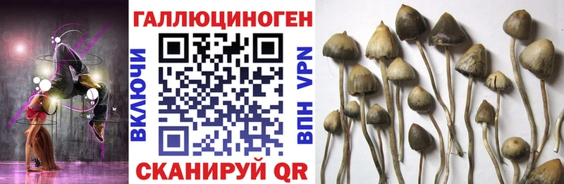 Галлюциногенные грибы мицелий  OMG   Кстово  цена наркотик 