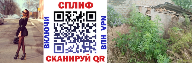Канабис Bruce Banner  Кстово 